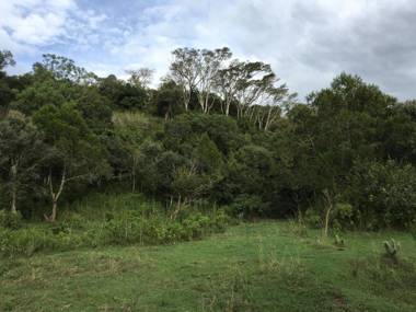 Ole Samara guest suites