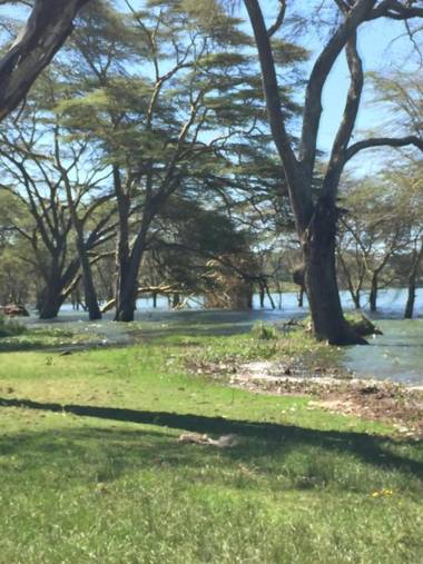 Luxurious tents in Naivasha