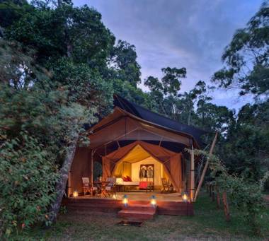 Elephant Pepper Camp