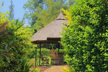 Nguge Hills Lodge & Wellness Retreat