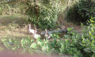 Cactus Eco Camp and Lodge