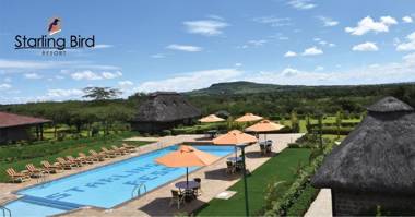 Starling Bird Resort