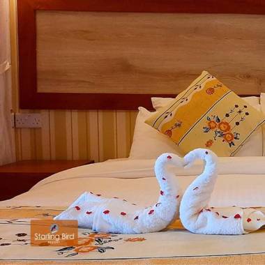 Starling Bird Resort