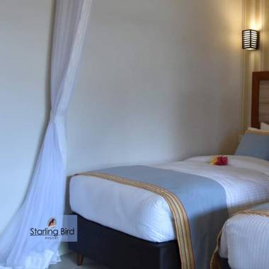 Starling Bird Resort