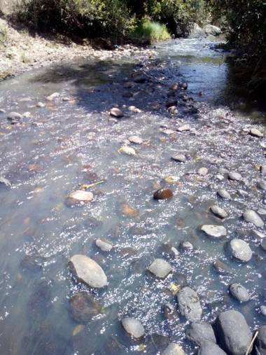 Mtoni Resort Naro moru