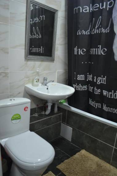 Apartment on Timiryazeva street 15