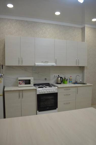 Apartment on Panfilov street 145