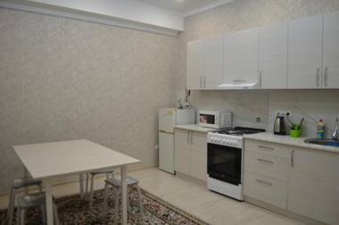 Apartment on Panfilov street 145