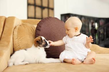 White Mansion 白色公馆