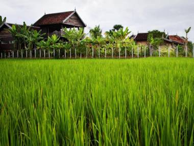 Angkor Rural Boutique Resort