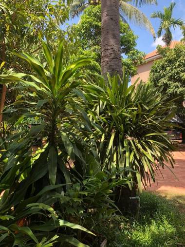 Panhanita Apartment and Villa