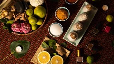 Mane Family Vacation