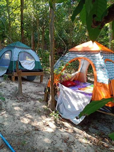Sweet Jungle Tents