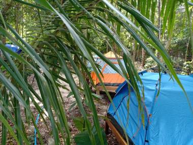 Sweet Jungle Tents