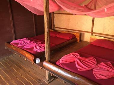 Tree Lodge