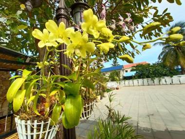 Sethy Boutique Hotel
