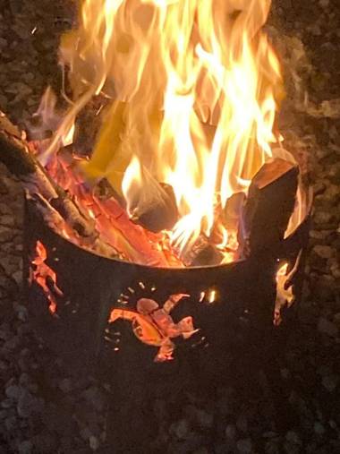 Ooljoo Sunny Cabin Glamping