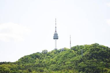 Namsan Forest in Myeongdong