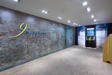 Nine Tree Hotel Myeongdong