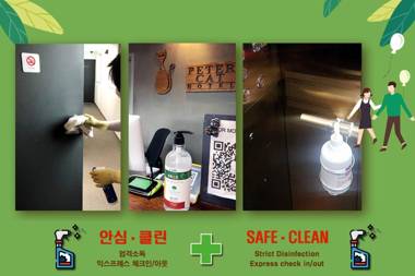 Petercat Hotel Shinchon