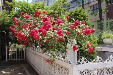 Garosugil Homestay - Female Only