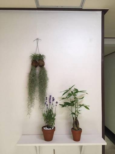 J mini Hotel Jongno Insadong