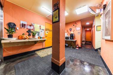 Yongsan Only for You