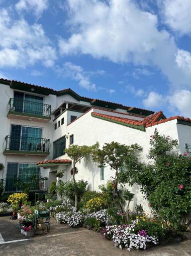 Flora Pension In Jeju