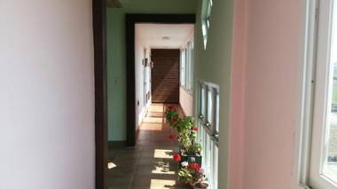 Flora Pension In Jeju