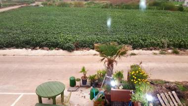 Jeju Gillime Pension