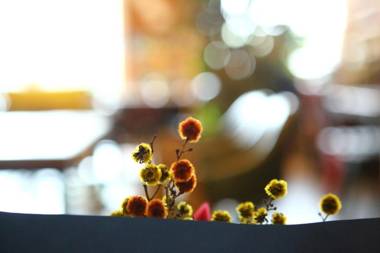 Harry and Sodam Pension