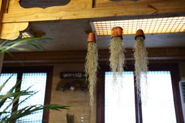 Harry and Sodam Pension