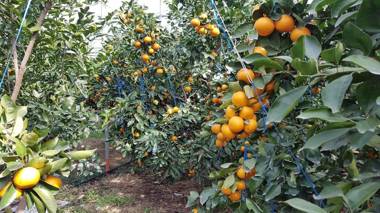 my halftime   스마일