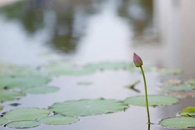 Seogwipo Hotel Changgo Pension