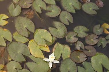 Seogwipo Hotel Changgo Pension