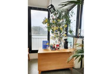 Jeju Stepping Stone Guest House