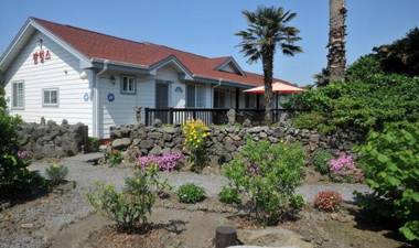 Jeju Palm Hills Pension