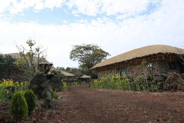 Seogwipo Chogain inn Guest House