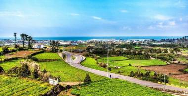 Jeju Joy Land Pension