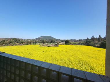 jaeju gyeongyoung pension