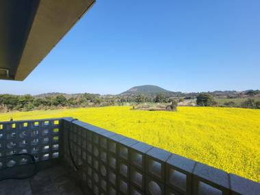 jaeju gyeongyoung pension