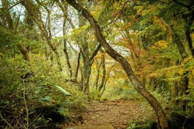 Wu Jin Sa Guest House