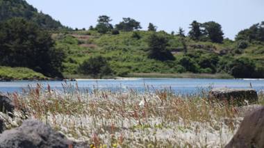 Hado fourseasons pension