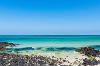 Jeju Manon Rental and Guest House