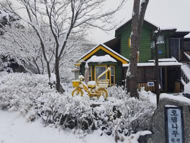 Mayfair Rodemtree Pension