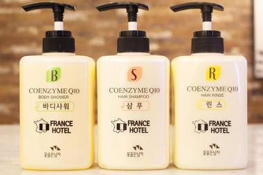 Busan Oncheonjang Hotel France