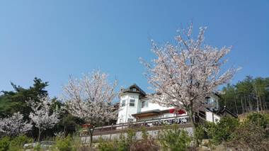 Gyeongju Todarun Saesang Pension