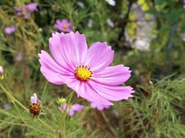 Ganghwado Fam Pension