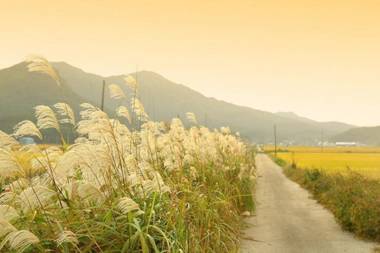 Ganghwado Maison Stella Pension