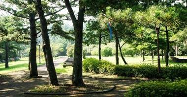 Bowhill Resort & Pension